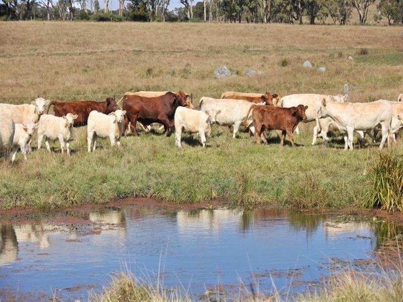 825 Scrub Road, Tenterfield NSW 2372