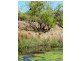 Lot 1 Currs Road, Tenterfield NSW 2372