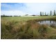 Tenterfield NSW 2372