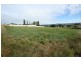 Tenterfield NSW 2372