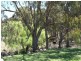 Lot 2 Currs Road, Tenterfield NSW 2372
