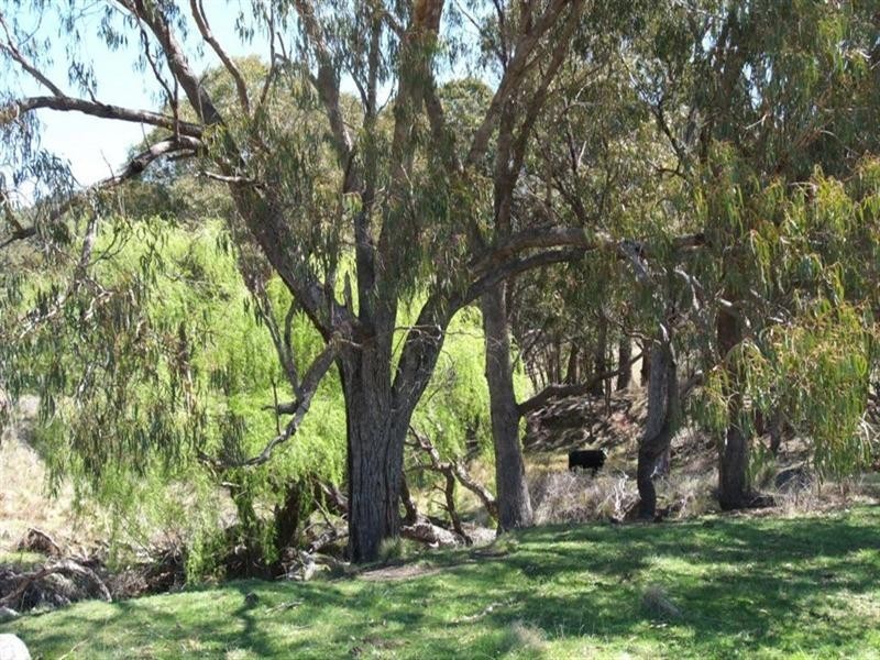 Lot 2 Currs Road, Tenterfield NSW 2372