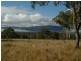 . Bruxner Highway, Tenterfield NSW 2372