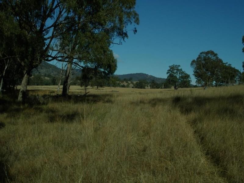 . Bruxner Highway, Tenterfield NSW 2372