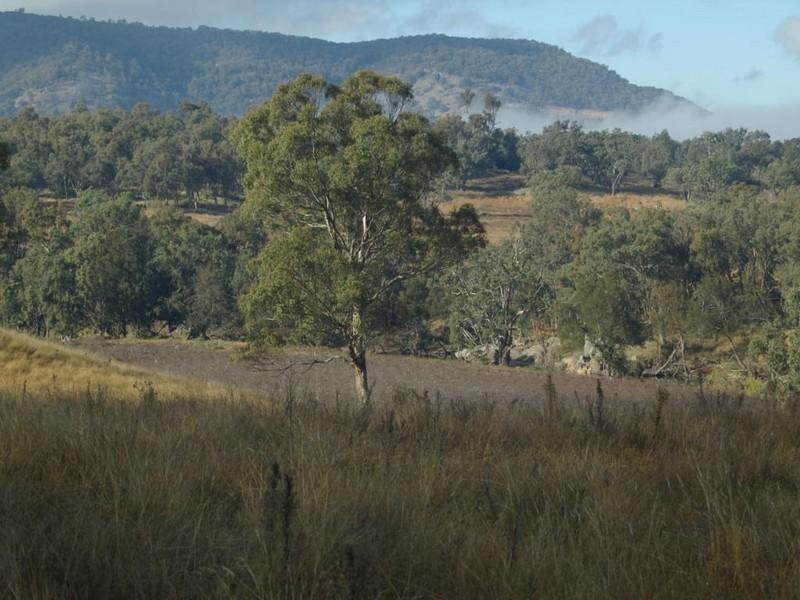. Bruxner Highway, Tenterfield NSW 2372