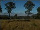 . Bruxner Highway, Tenterfield NSW 2372