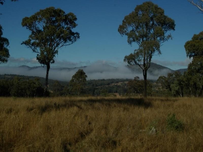 . Bruxner Highway, Tenterfield NSW 2372