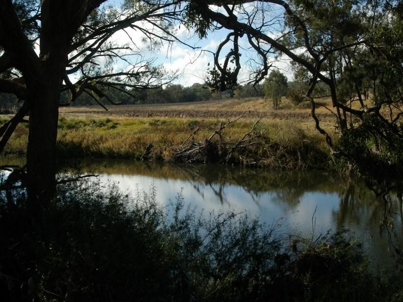 . Bruxner Highway, Tenterfield NSW 2372