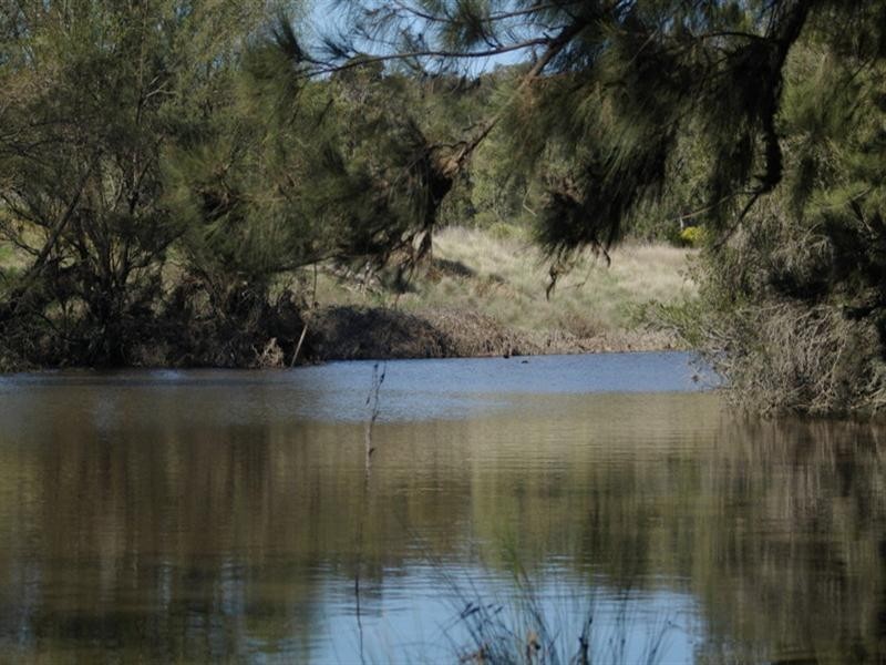 . Bruxner Highway, Tenterfield NSW 2372