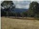 . Bruxner Highway, Tenterfield NSW 2372