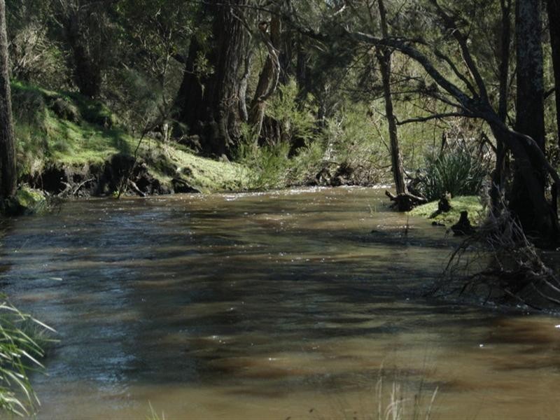 . Bruxner Highway, Tenterfield NSW 2372