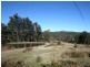 2875 Mount Lindsay Road, Tenterfield NSW 2372