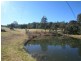 2875 Mount Lindsay Road, Tenterfield NSW 2372