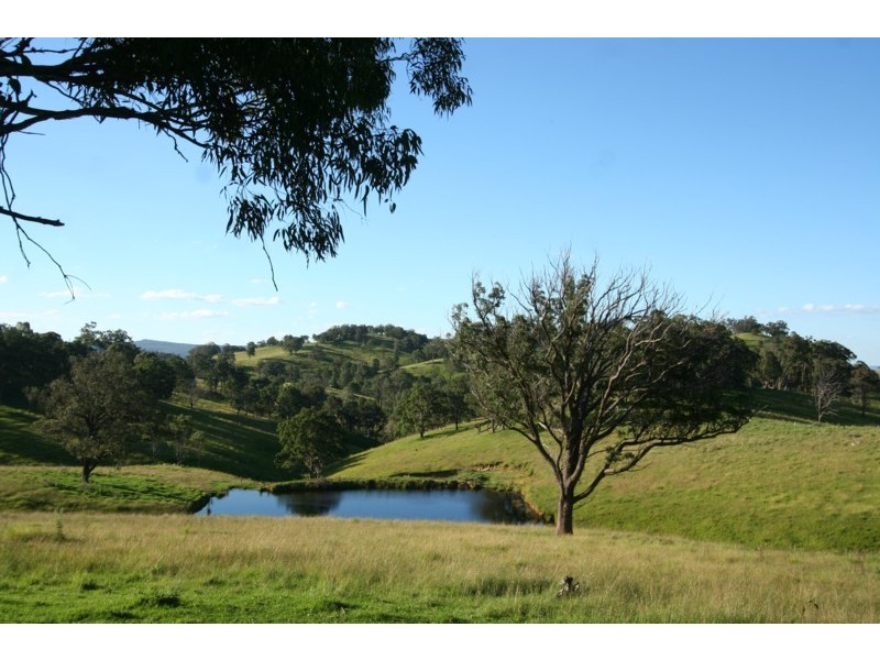 Tenterfield NSW 2372