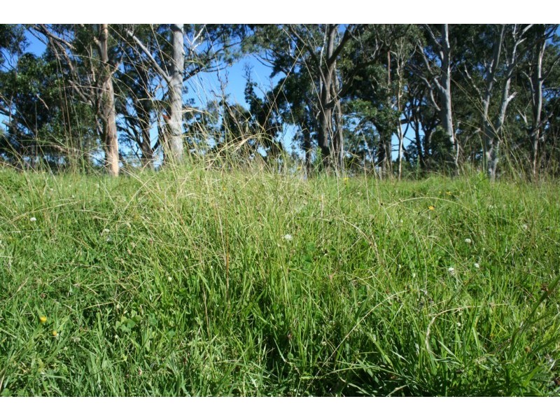 Tenterfield NSW 2372