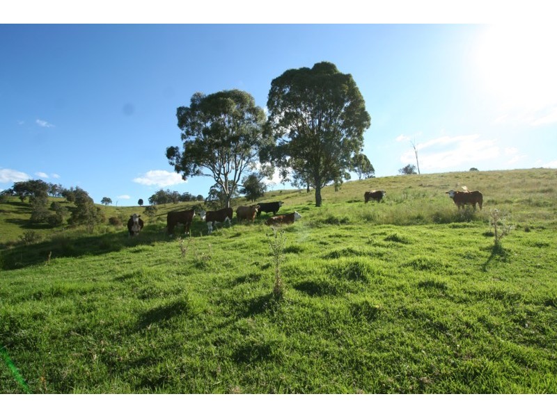 Tenterfield NSW 2372