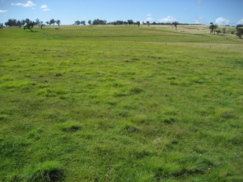 Tenterfield NSW 2372