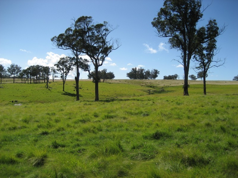 Tenterfield NSW 2372