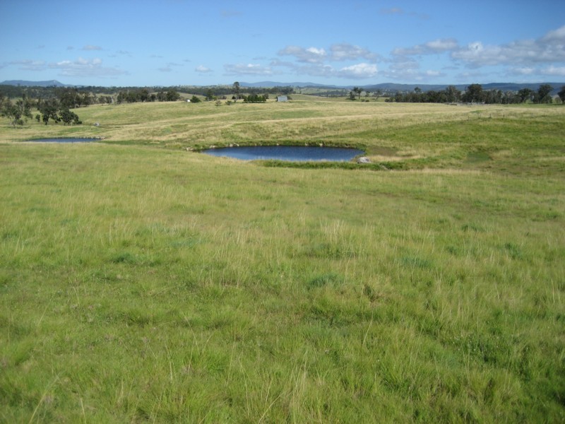 Tenterfield NSW 2372