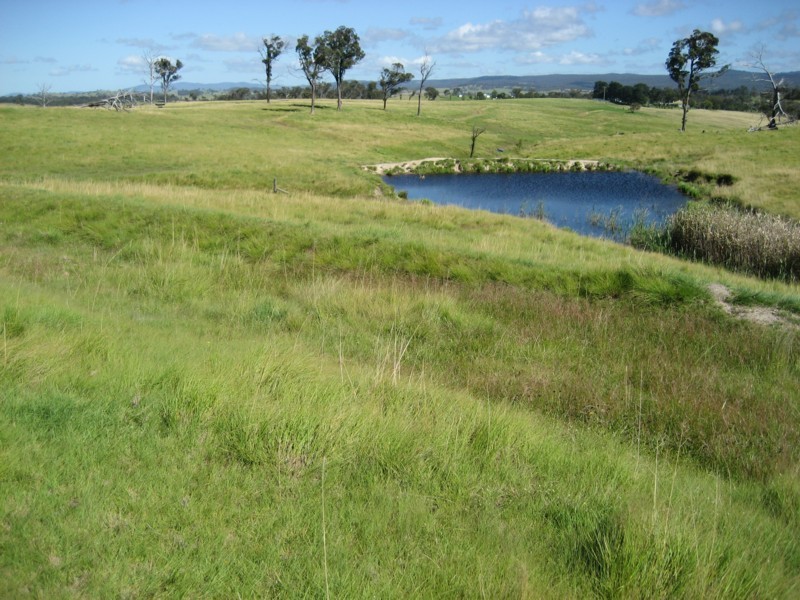 Tenterfield NSW 2372