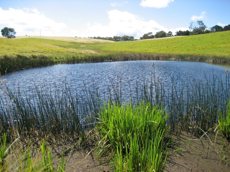 Tenterfield NSW 2372