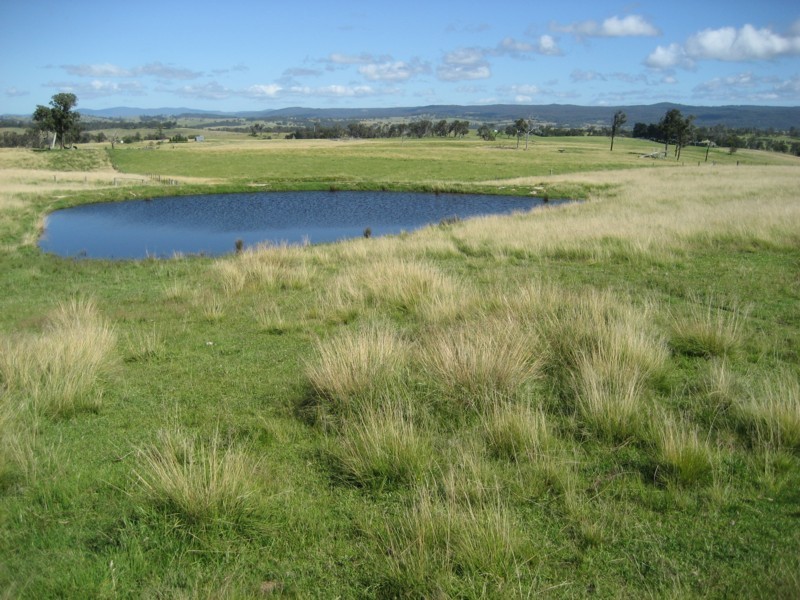 Tenterfield NSW 2372