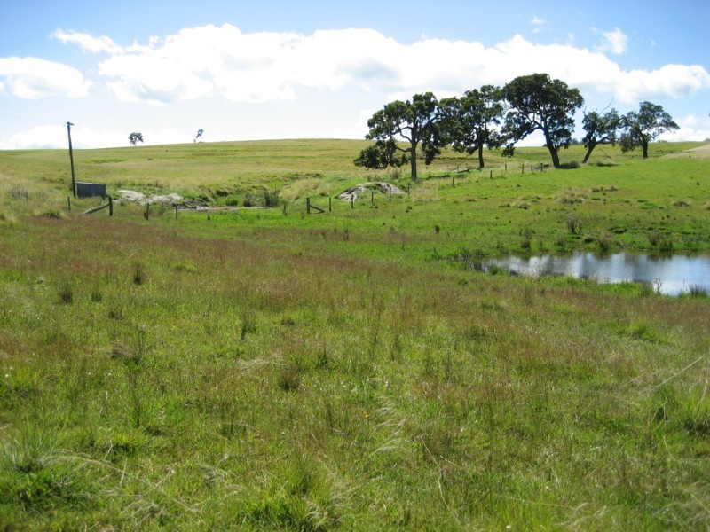 Tenterfield NSW 2372