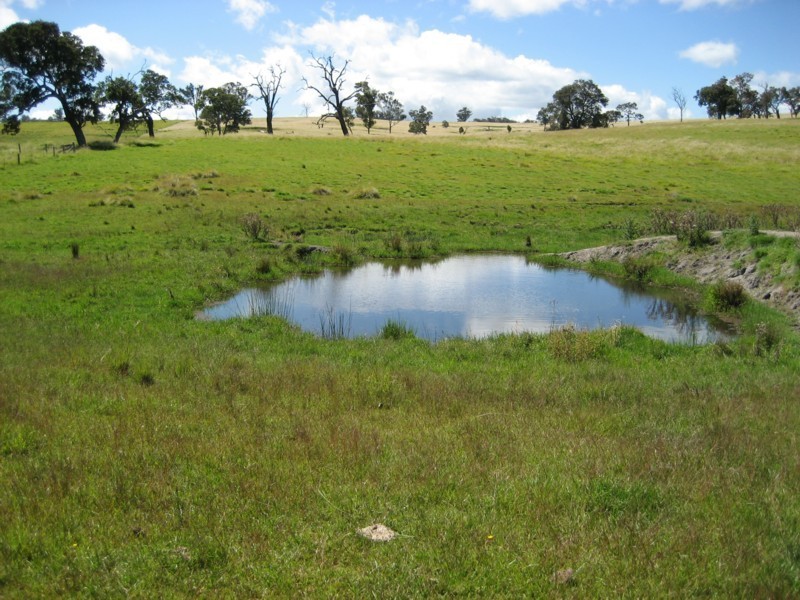 Tenterfield NSW 2372