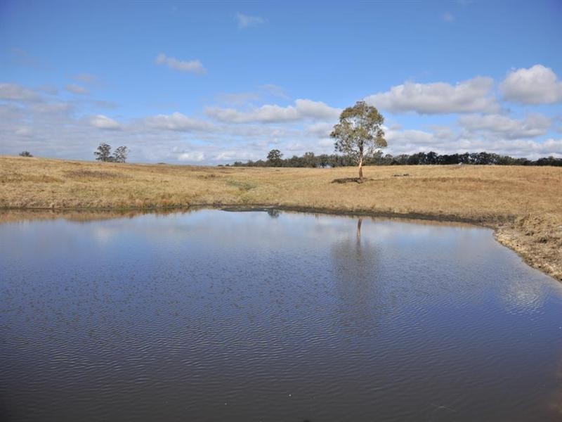 3813 Mt Lindesay Road, Tenterfield NSW 2372