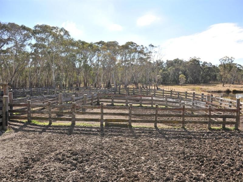3813 Mt Lindesay Road, Tenterfield NSW 2372