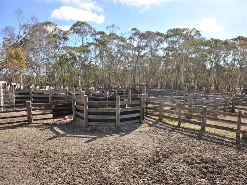3813 Mt Lindesay Road, Tenterfield NSW 2372