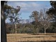 3813 Mt Lindesay Road, Tenterfield NSW 2372