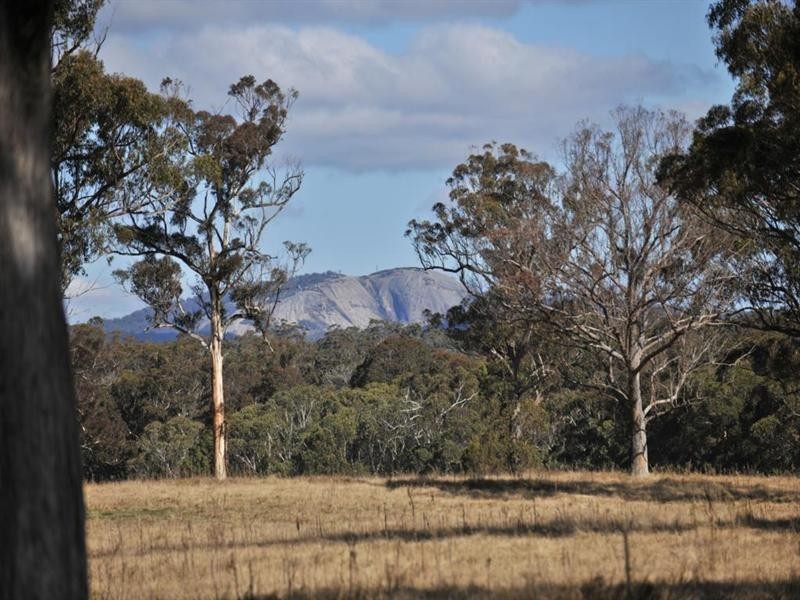 3813 Mt Lindesay Road, Tenterfield NSW 2372