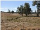 3813 Mt Lindesay Road, Tenterfield NSW 2372