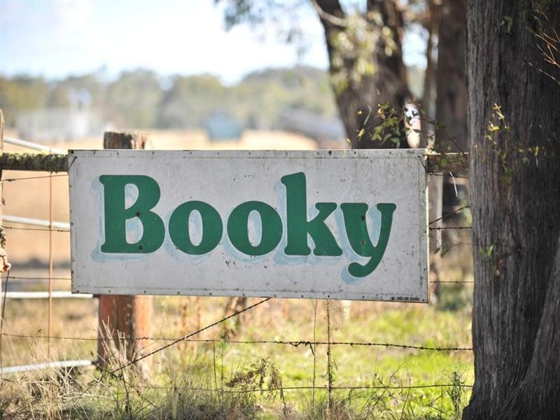 3813 Mt Lindesay Road, Tenterfield NSW 2372