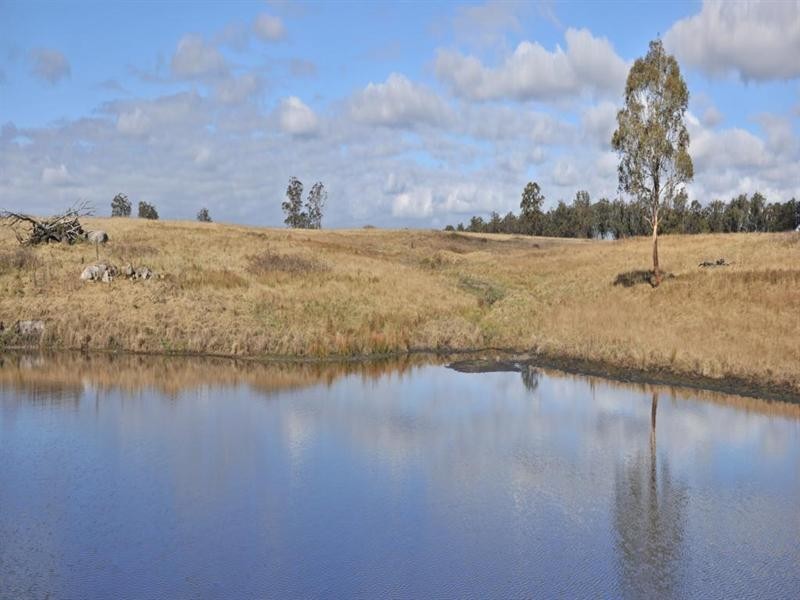 3813 Mt Lindesay Road, Tenterfield NSW 2372