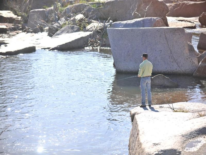 1446 Gilgurry Road, Tenterfield NSW 2372