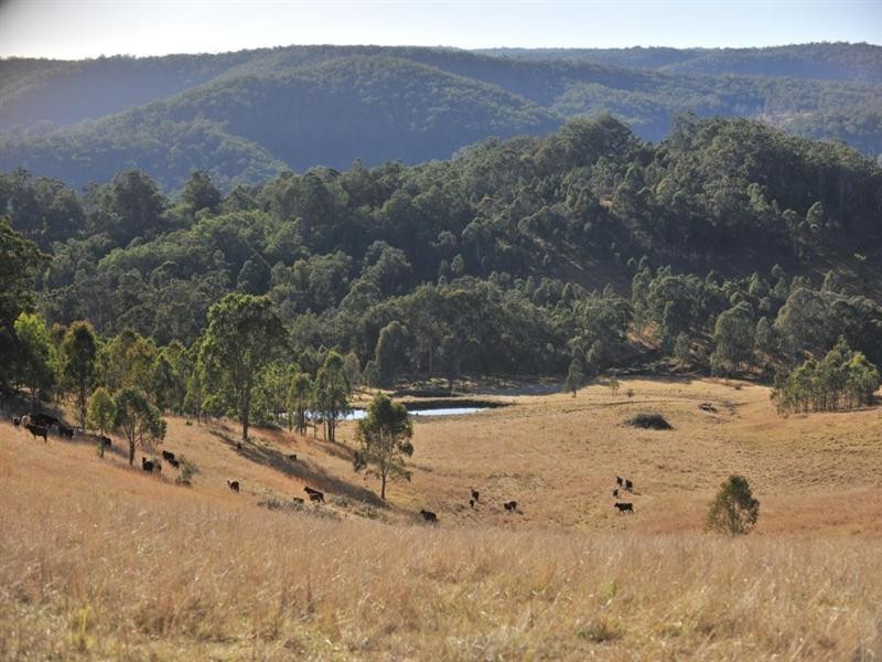 1446 Gilgurry Road, Tenterfield NSW 2372