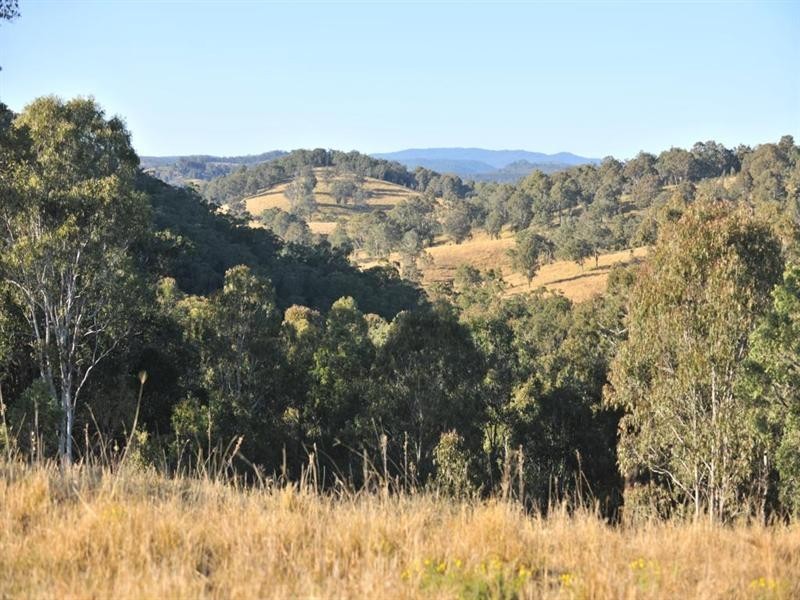 1446 Gilgurry Road, Tenterfield NSW 2372