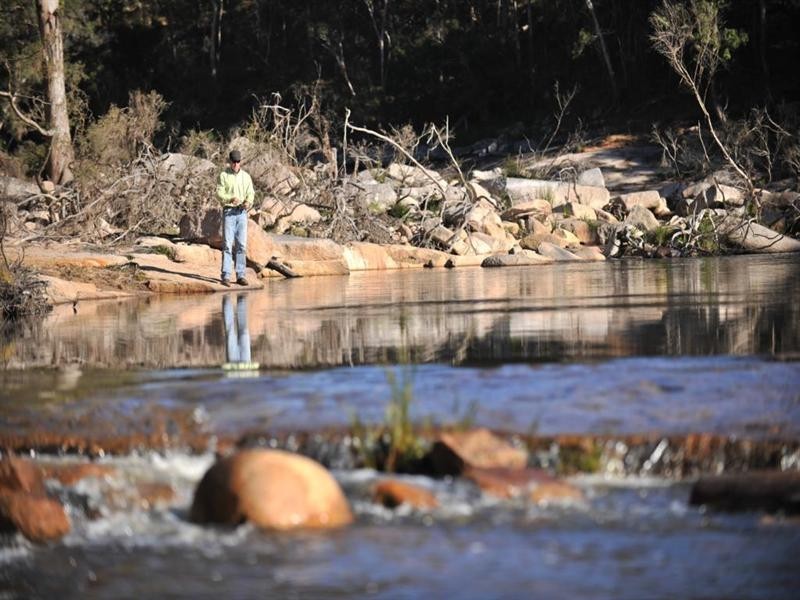 1446 Gilgurry Road, Tenterfield NSW 2372