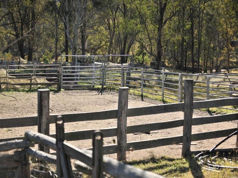 1446 Gilgurry Road, Tenterfield NSW 2372