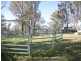 1446 Gilgurry Road, Tenterfield NSW 2372