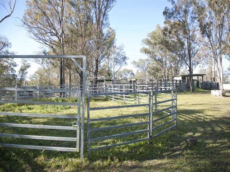 1446 Gilgurry Road, Tenterfield NSW 2372