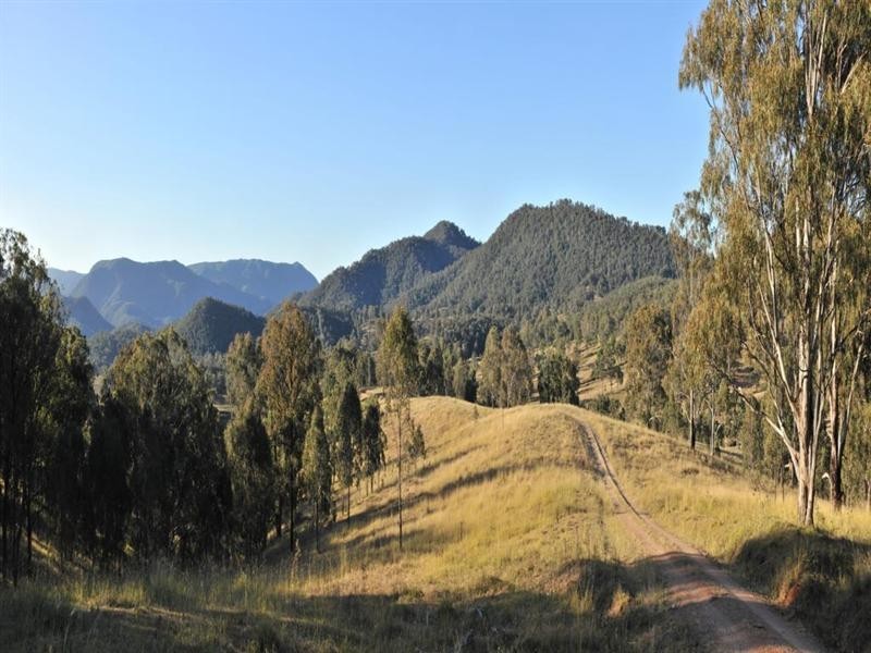 1446 Gilgurry Road, Tenterfield NSW 2372