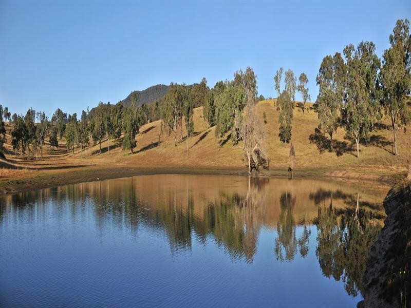 1446 Gilgurry Road, Tenterfield NSW 2372