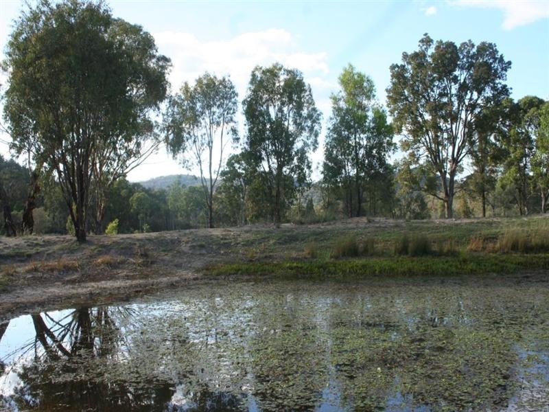 Lot 59 Woodside Road, Tenterfield NSW 2372