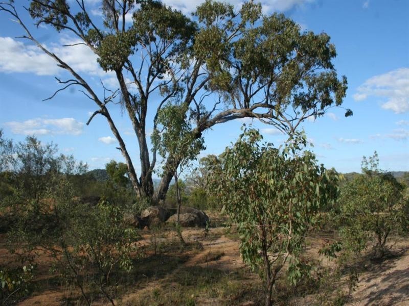 Lot 59 Woodside Road, Tenterfield NSW 2372