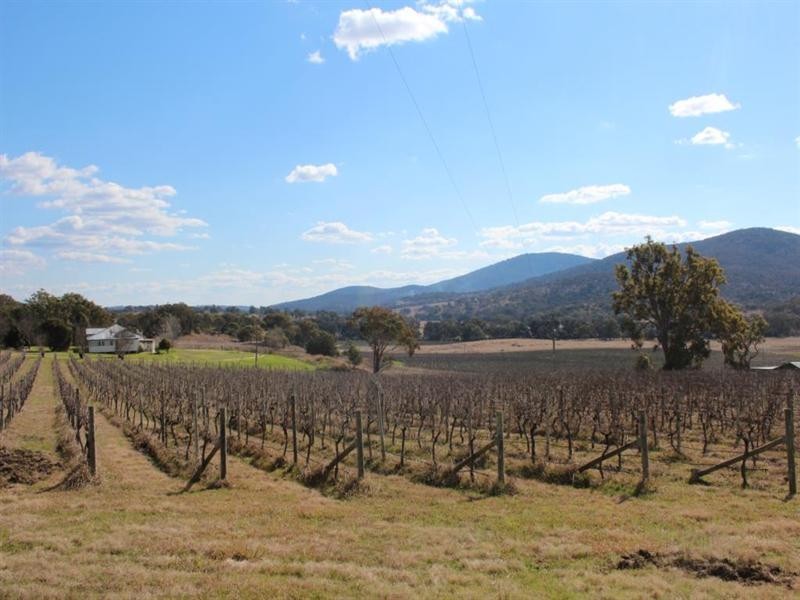 2128 Bruxner Highway, Tenterfield NSW 2372