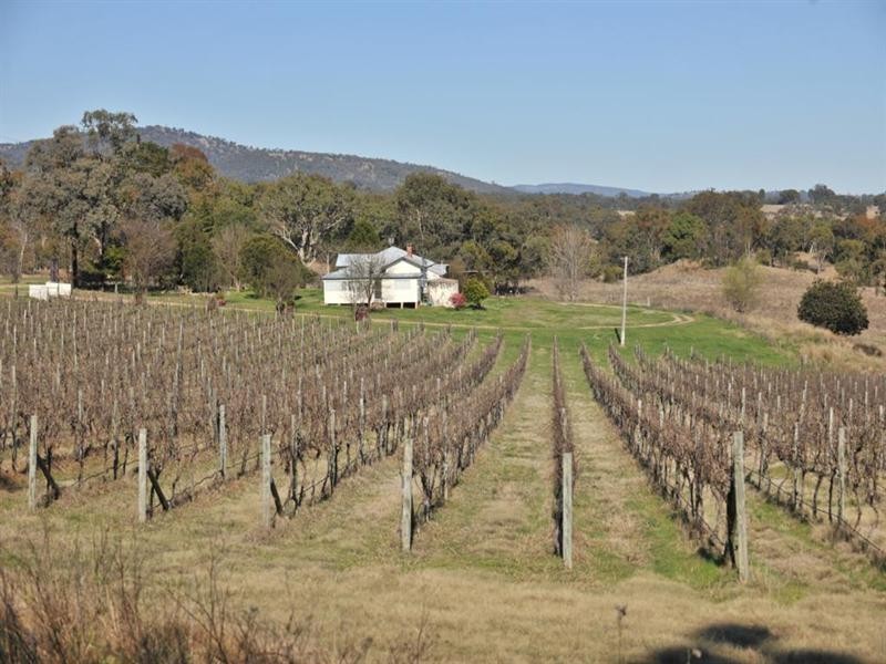 2128 Bruxner Highway, Tenterfield NSW 2372