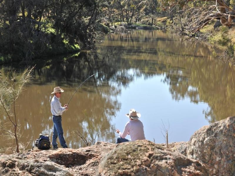 2128 Bruxner Highway, Tenterfield NSW 2372